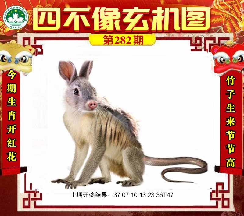 ͼƬŴ